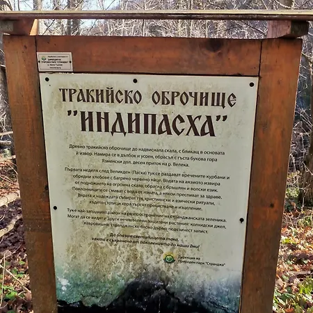 слънце